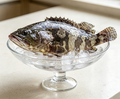 Wild Grouper (Whole Fish)