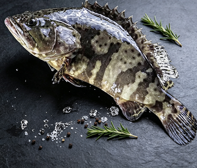 Wild Grouper (Whole Fish)